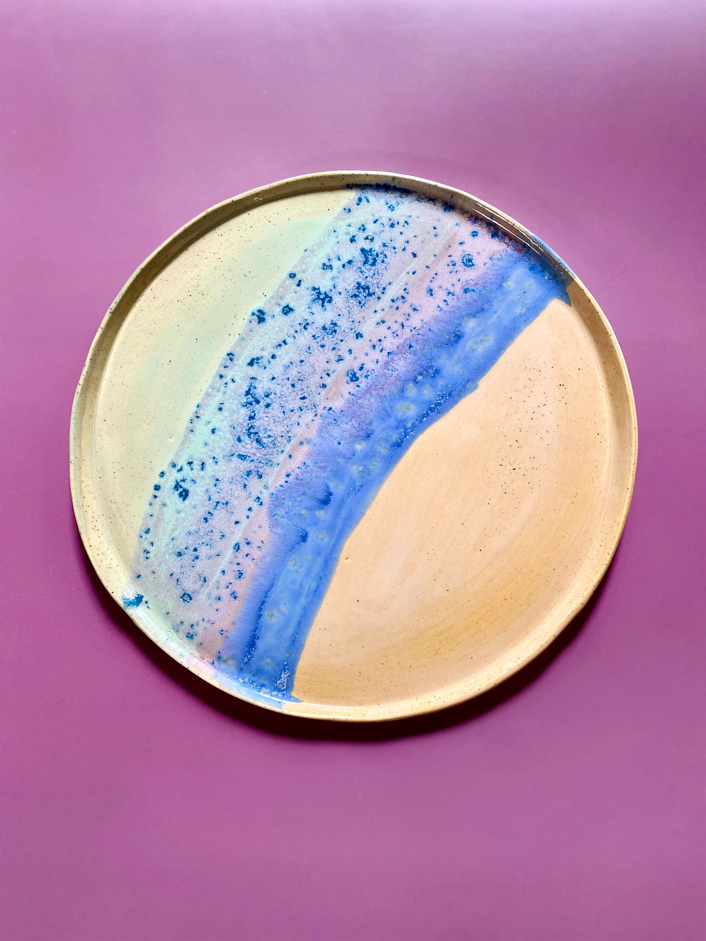 Dinner plate 5